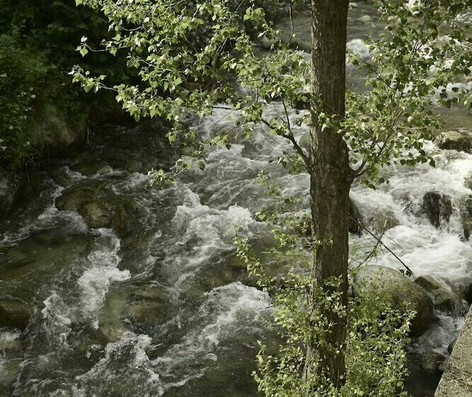 חדר סופריור, Casa Moma 1948