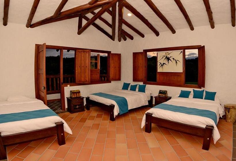 اتاق سوپریور سه تخته, Estorake San Agustin Huila