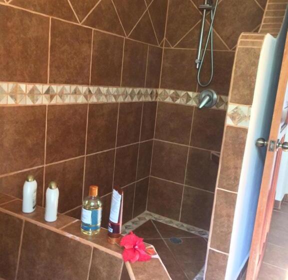 家庭间, La Villa Mexicana By Diving Prestige