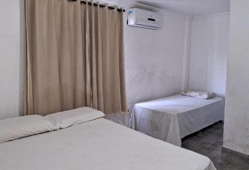 标准三人间, Raiz