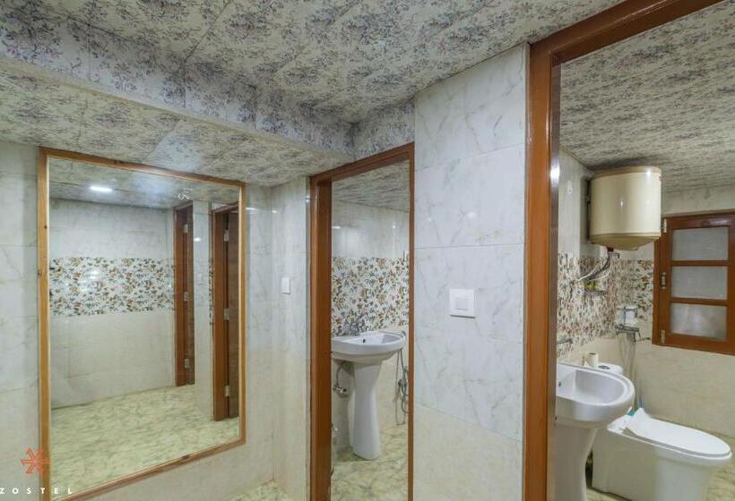 공동 객실, Zostel Kotgarh