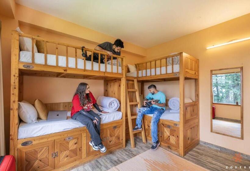 공동 객실, Zostel Kotgarh