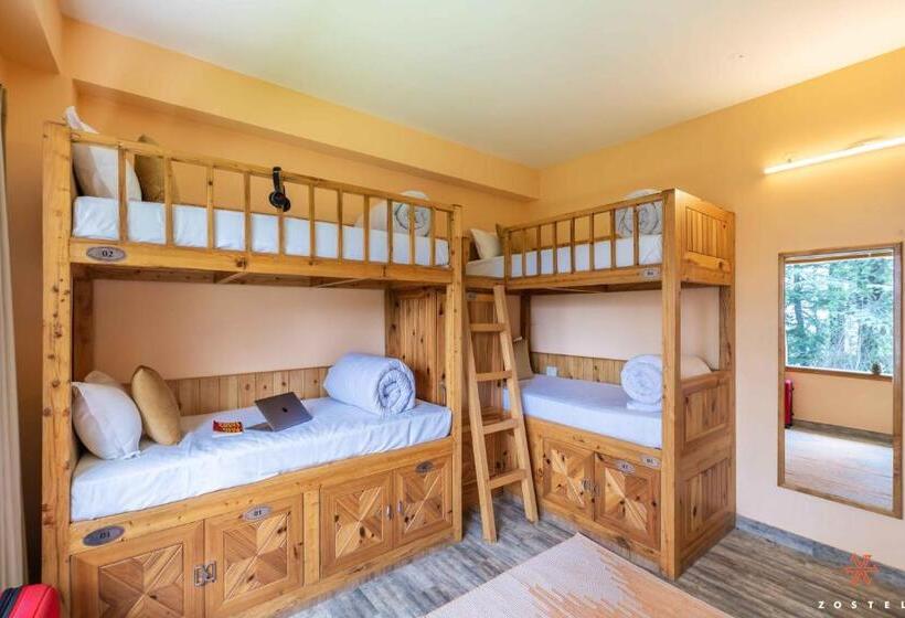 공동 객실, Zostel Kotgarh