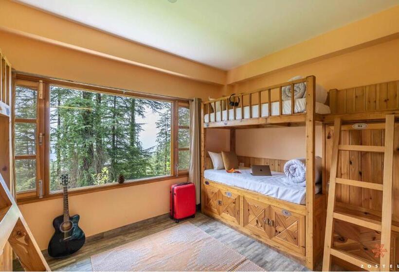 공동 객실, Zostel Kotgarh