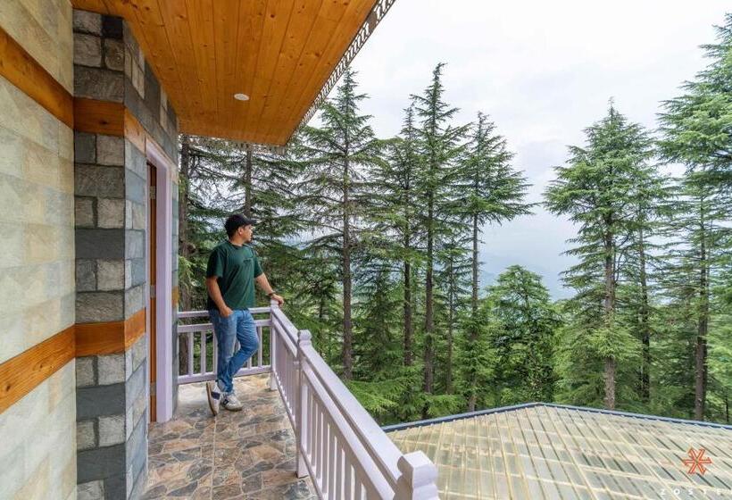 4인용 수피리어 룸, Zostel Kotgarh