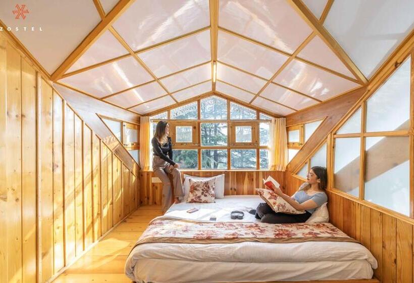 4인용 수피리어 룸, Zostel Kotgarh