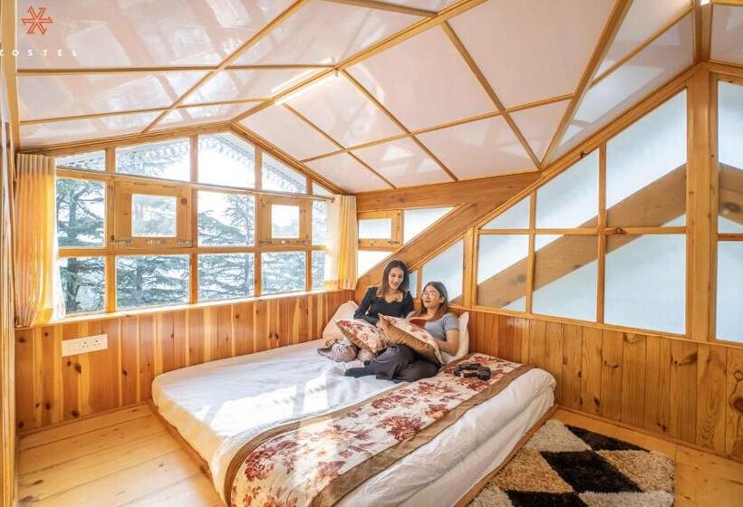 4인용 수피리어 룸, Zostel Kotgarh