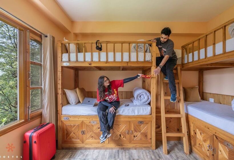 공동 객실, Zostel Kotgarh