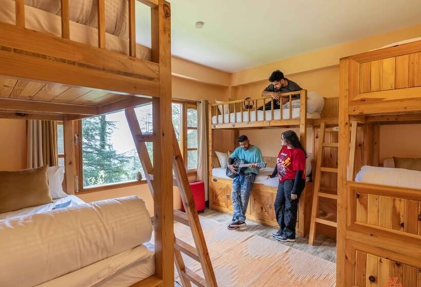 공동 객실, Zostel Kotgarh