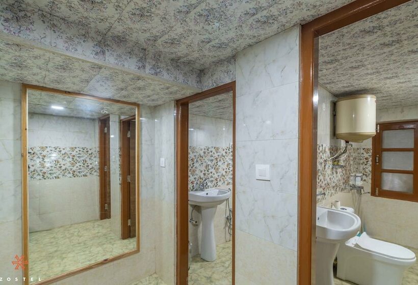 공동 객실, Zostel Kotgarh