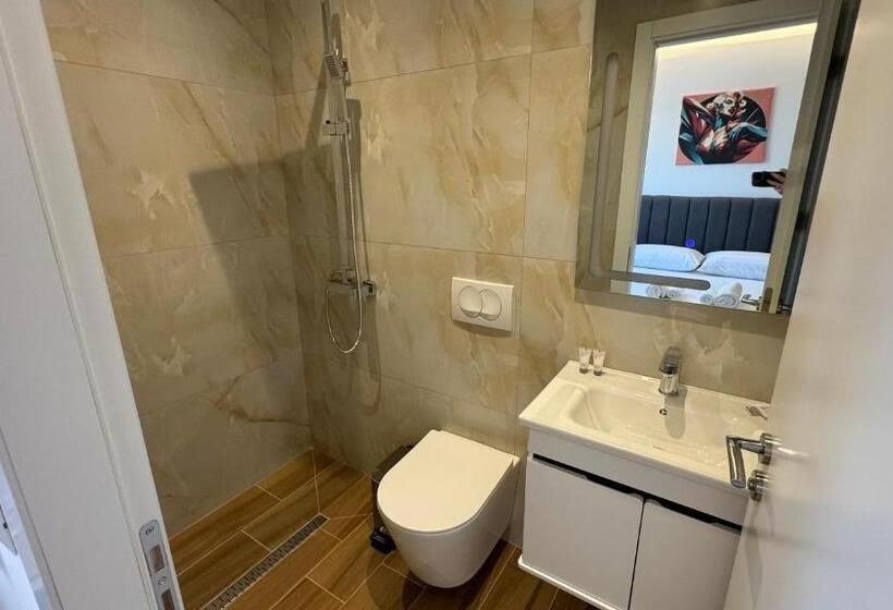 غرفة قياسية, Bizant