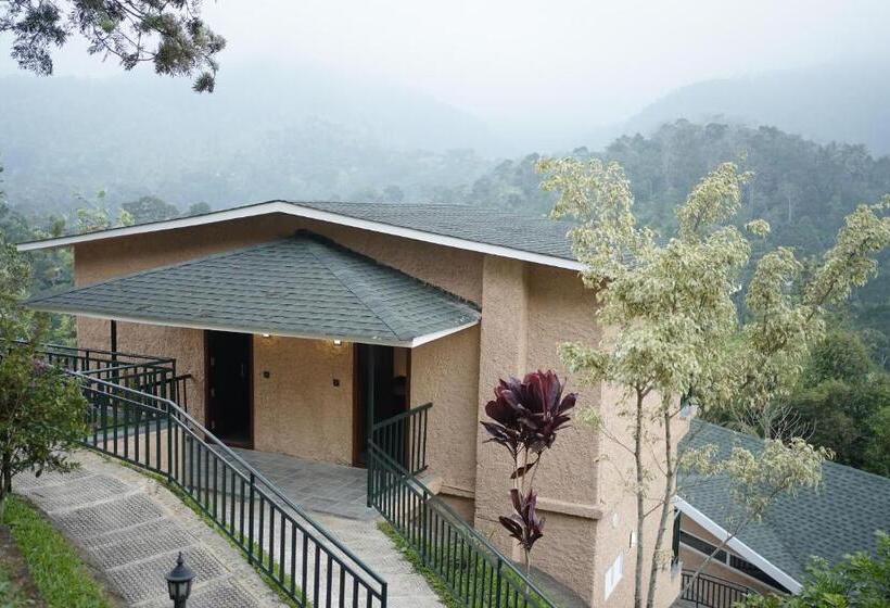 발코니 디럭스 룸, The Violet Thekkady