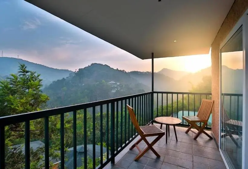 スーペリアールーム, The Violet Thekkady