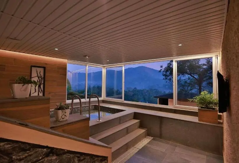 スーペリアールーム, The Violet Thekkady