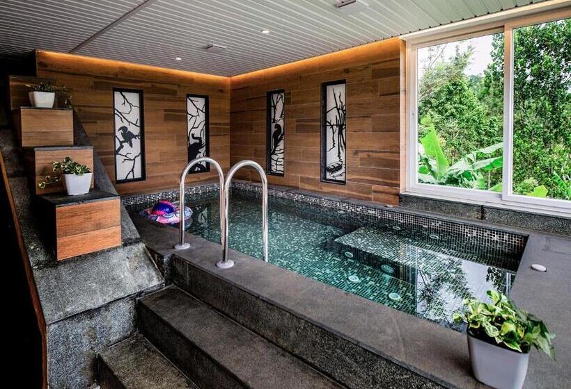 수피리어 룸, The Violet Thekkady