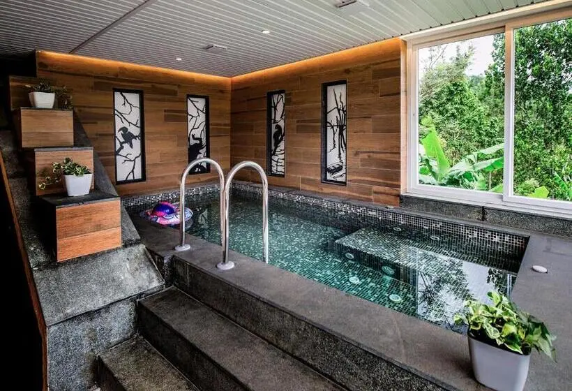 スーペリアールーム, The Violet Thekkady