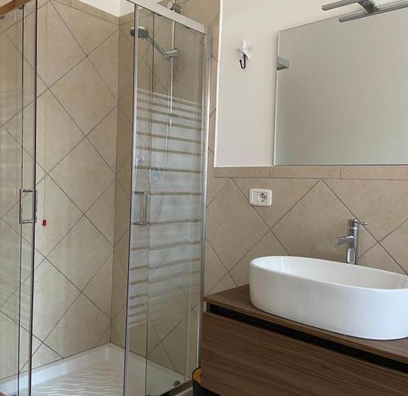 Номер Стандарт, Salsedine