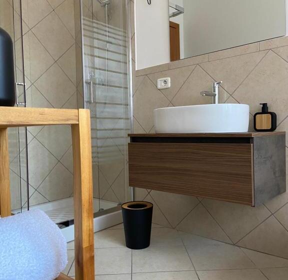 Номер Стандарт, Salsedine