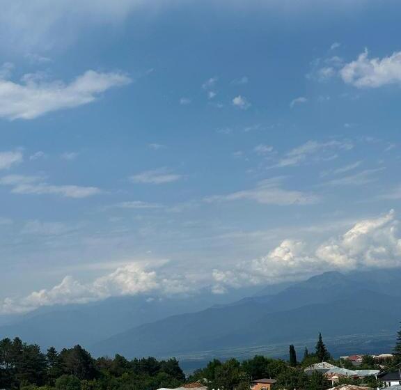 اتاق خانوادگی, Davitiani