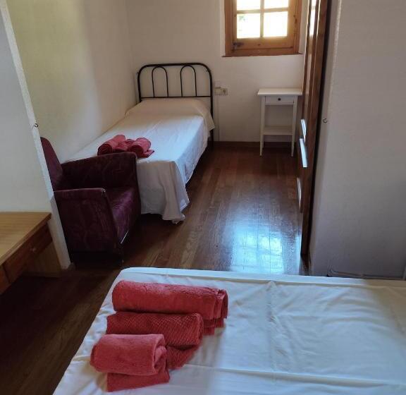 Номер Стандарт, Rectoria Nova