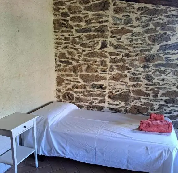 Quarto Quádruplo Standard, Rectoria Nova