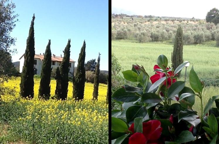 Quarto Estandar, Agriturismo Casa Lenzi