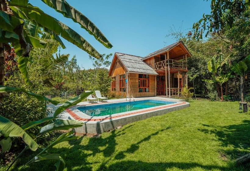 חדר משפחתי, Under The Shade Safari Lodge