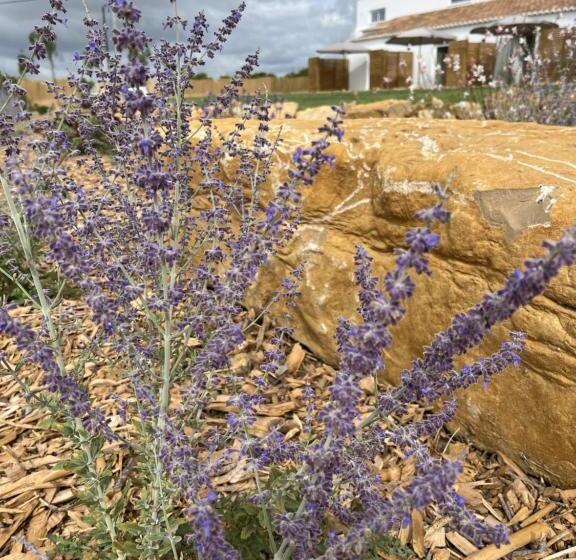 سوییت خانوادگی, Villa Lobos A Sua Casa No Campo