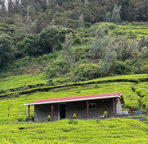 Standard Studio with Views, Wild And Free Farm Stay