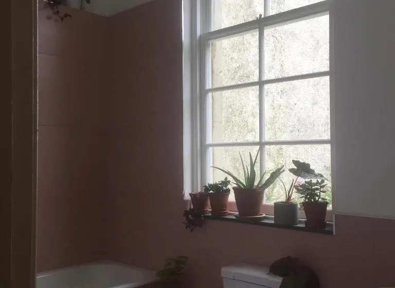 キングサイズベッドのスタンダードルーム, Gilchristland Organic Farm Retreat