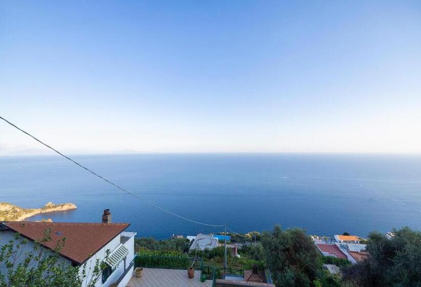 Апартаменты 1 Спальня Вид на Море, Salvo S House