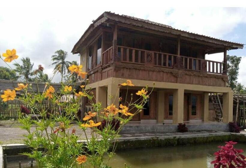 Номер Стандарт, Bujak Permai Villa Kangkung