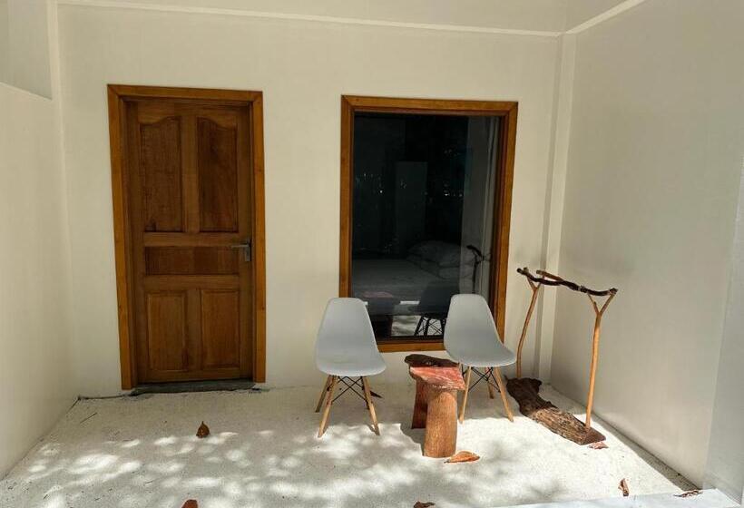 اتاق لوکس, Dive And Sleep All Inclusive Diving Guesthouse 3 Dives Per Day