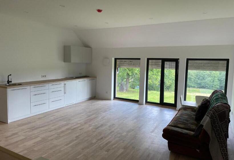 اتاق لوکس چهار تخته, Kipeni Guest House