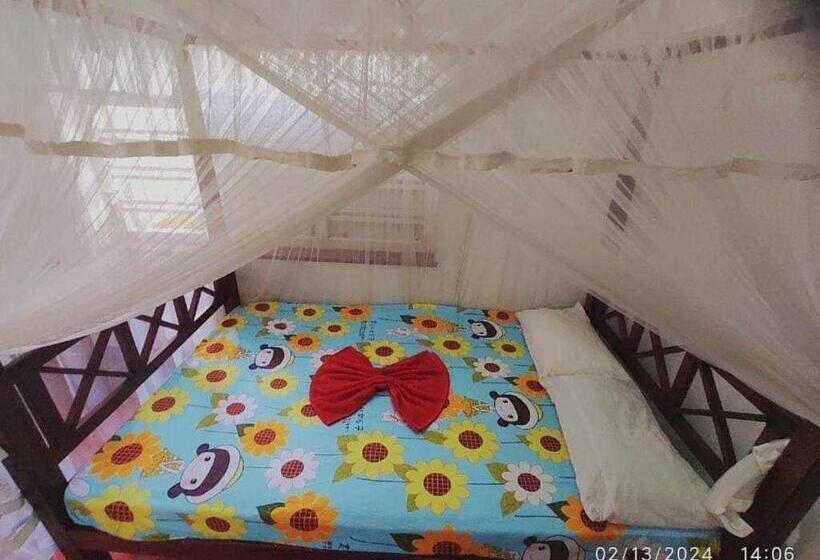 스탠다드 룸, Sheyyes