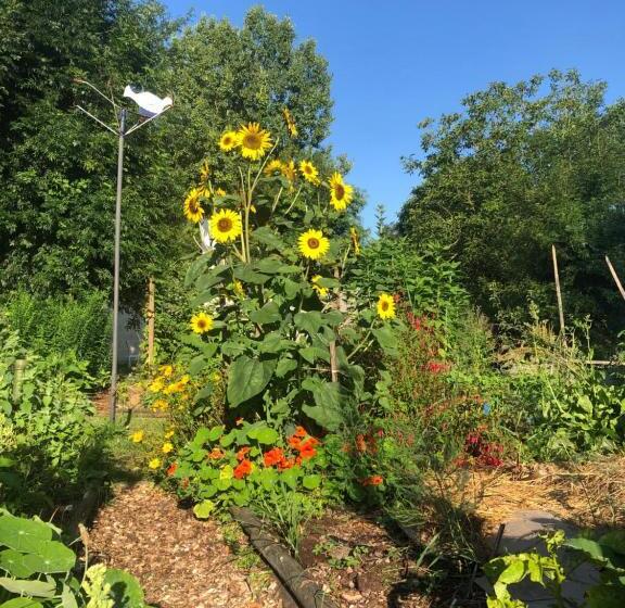 Четырехместный Номер Стандарт, La Grange De La Brousse