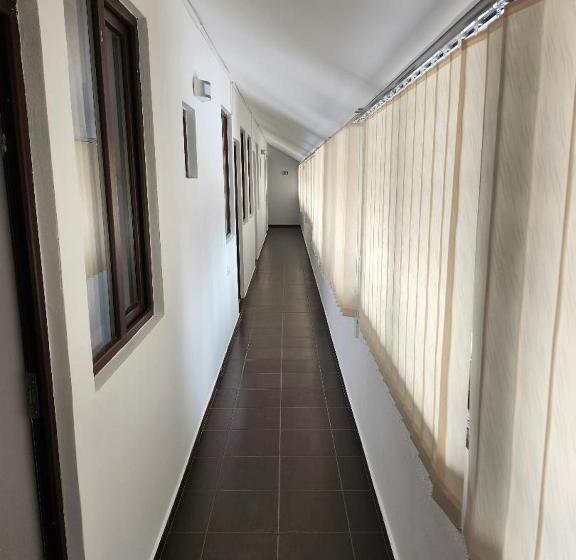 Номер Стандарт, Roua Muntilor