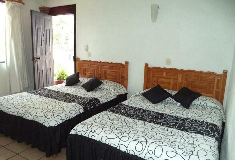 スタンダードルーム, Ocampo