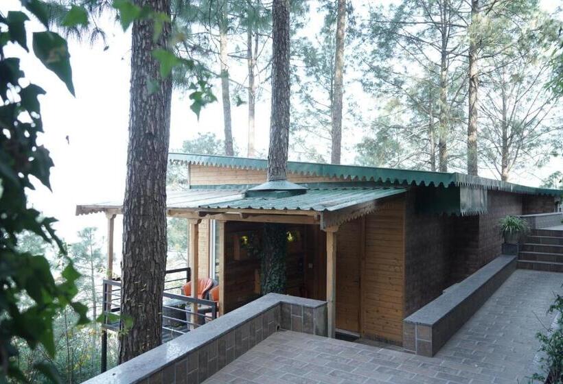 غرفة قياسية مطلة على الجبل, Kasauli Hills Resort