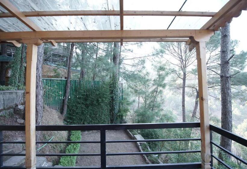 스탠다드 룸 산 전망, Kasauli Hills Resort