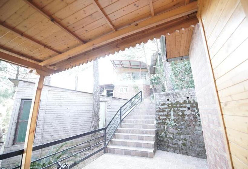 스탠다드 룸 산 전망, Kasauli Hills Resort