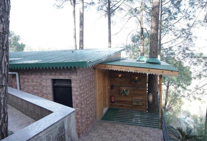 스탠다드 룸 산 전망, Kasauli Hills Resort