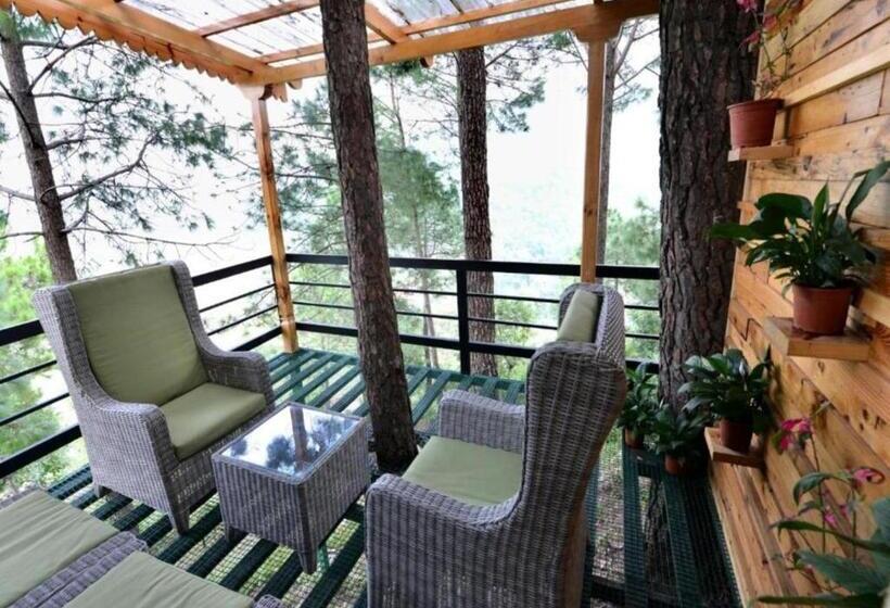 스탠다드 룸 산 전망, Kasauli Hills Resort