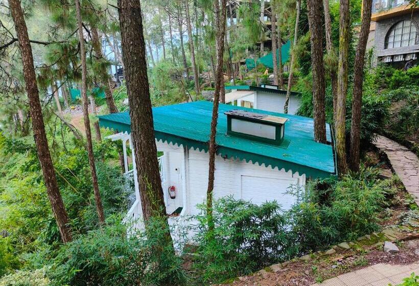 غرفة سوبيريور, Kasauli Hills Resort