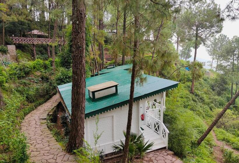 수피리어 룸, Kasauli Hills Resort