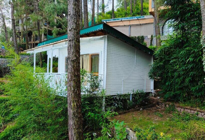 غرفة سوبيريور, Kasauli Hills Resort