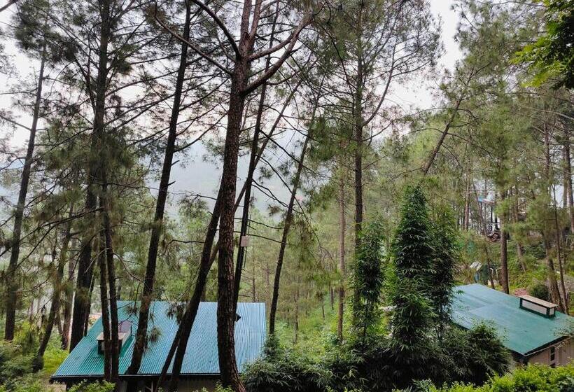 غرفة سوبيريور, Kasauli Hills Resort
