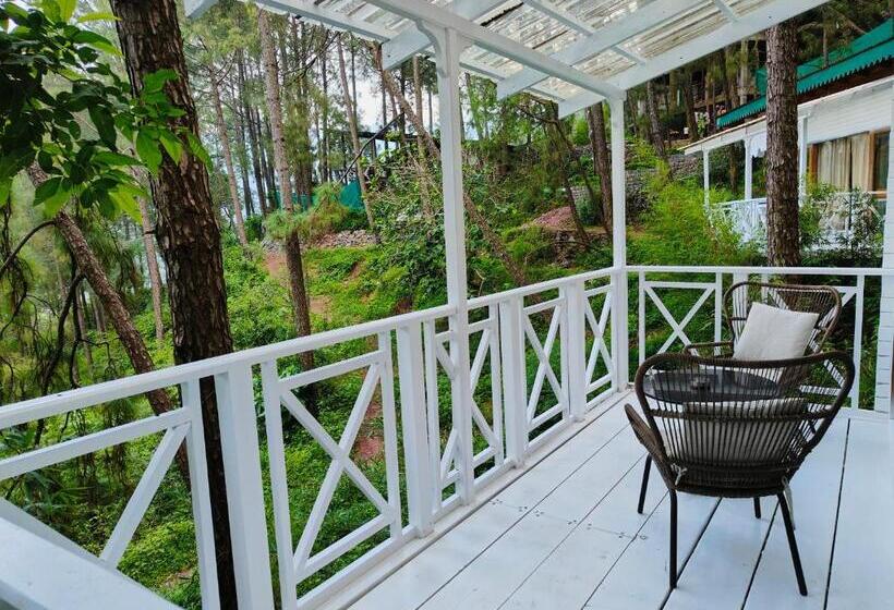 수피리어 룸, Kasauli Hills Resort