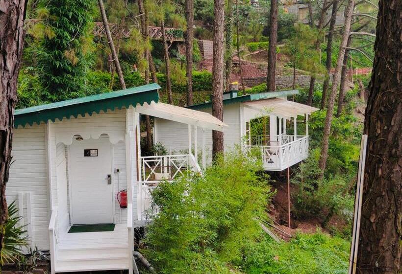 غرفة سوبيريور, Kasauli Hills Resort