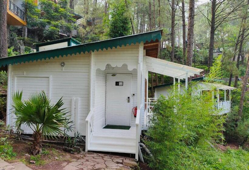 수피리어 룸, Kasauli Hills Resort